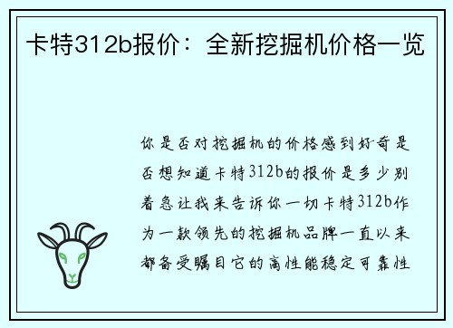 卡特312b报价：全新挖掘机价格一览