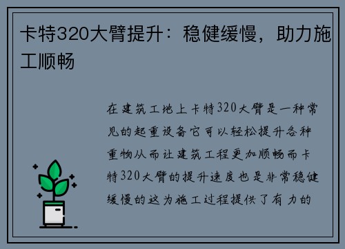 卡特320大臂提升：稳健缓慢，助力施工顺畅