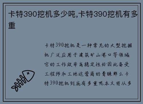 卡特390挖机多少吨,卡特390挖机有多重
